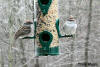 Chipping Sparrows by Christine Music